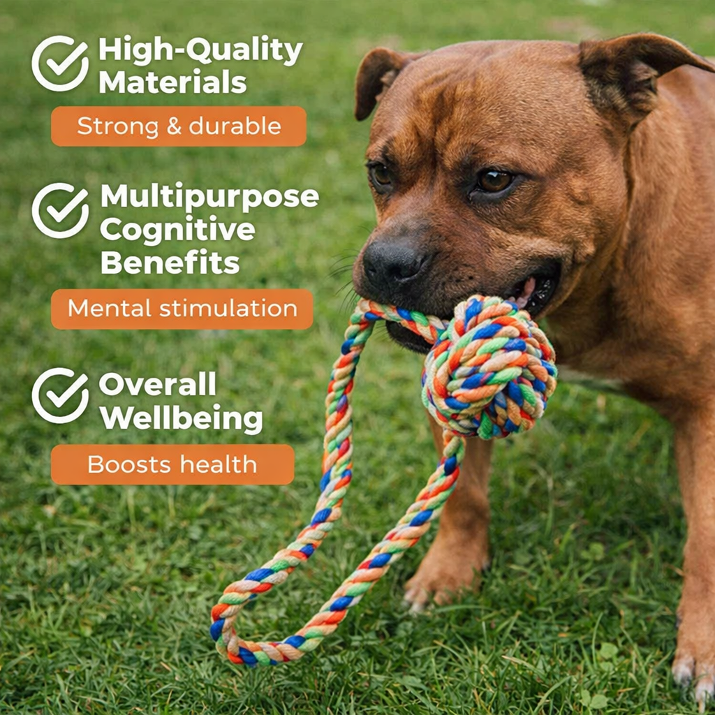 Pet Rope Ball Multi-Color Ball Rope Toy for Dogs – Pawpourri