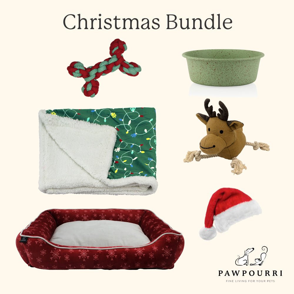 Dog Christmas Bundle - Main Image