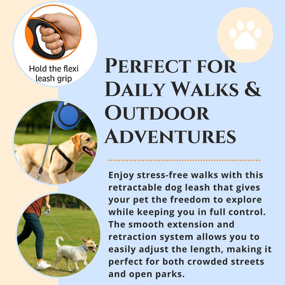 Retractable Dog Leash Blue – Pawpourri