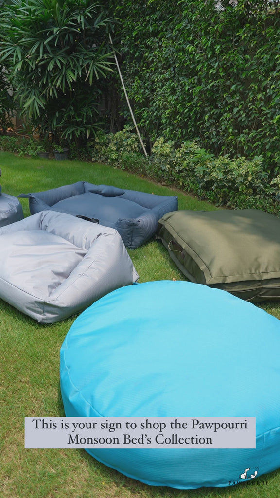 Monsoon Beds – Pawpourri